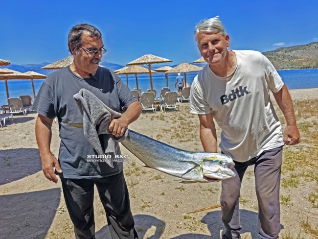 ΨΑΡΙ ΝΑΥΠΛΙΟ