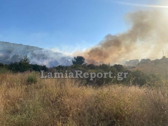 Φωτιά στη Λαμία