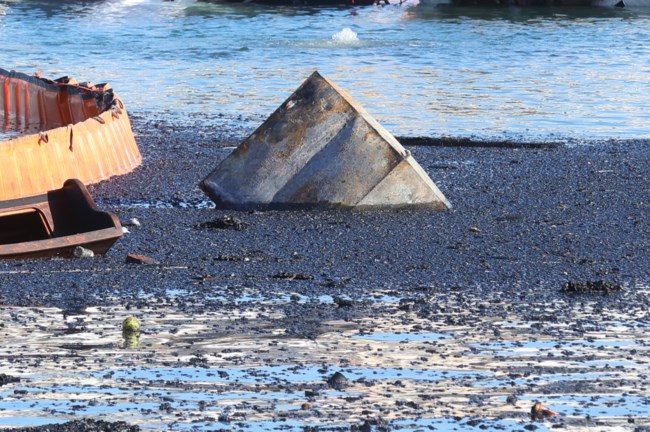 ΦΩΤΙΑ ΜΑΡΙΝΑ ΖΕΑΣ