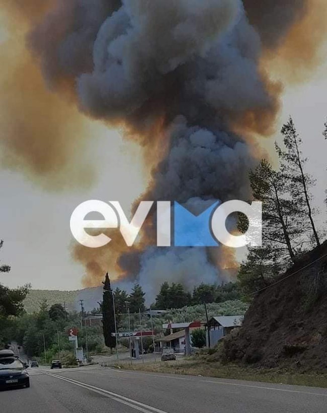 Εκτός ελέγχου η φωτιά στη Λίμνη Ευβοίας: Πλησιάζουν σπίτια οι πύρινες γλώσσες - Εκκενώνονται χωριά [βίντεο]