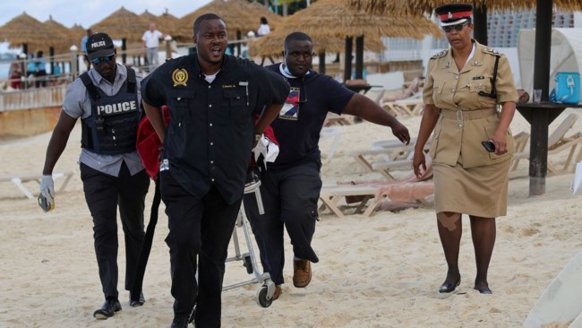 ΜΠΑΧΑΜΕΣ ΚΑΡΧΑΡΙΑΣ