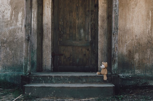 Γιατί ο σκύλος μου αγαπά τα λούτρινα ζωάκια; Συμπεριφορές που πρέπει να προσέξετε