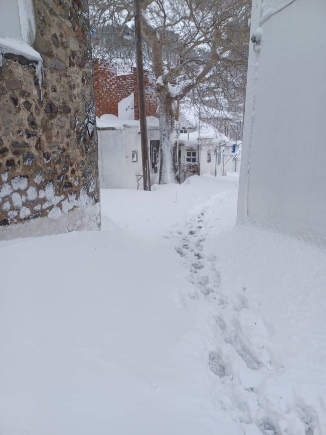 ΧΙΟΝΙΑ ΣΑΜΟΘΡΑΚΗ