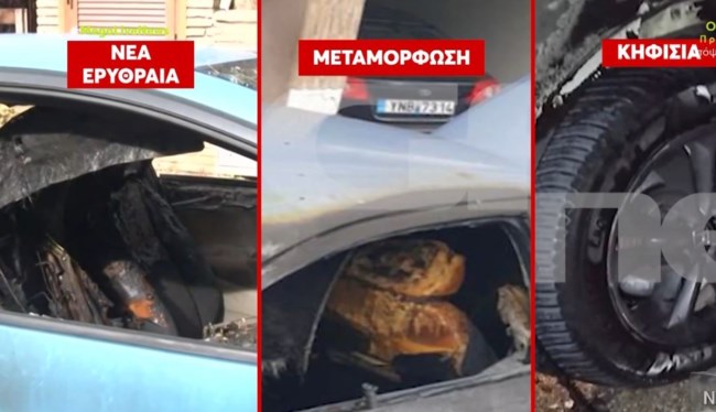 "Είναι ατίθαση κοπέλα - Εχει μπει πολλές φορές σε ψυχιατρείο": Νέες αποκαλύψεις για την 56χρονη δασκάλα γιόγκα