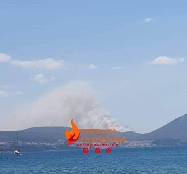 Φωτιά Μεσσηνία