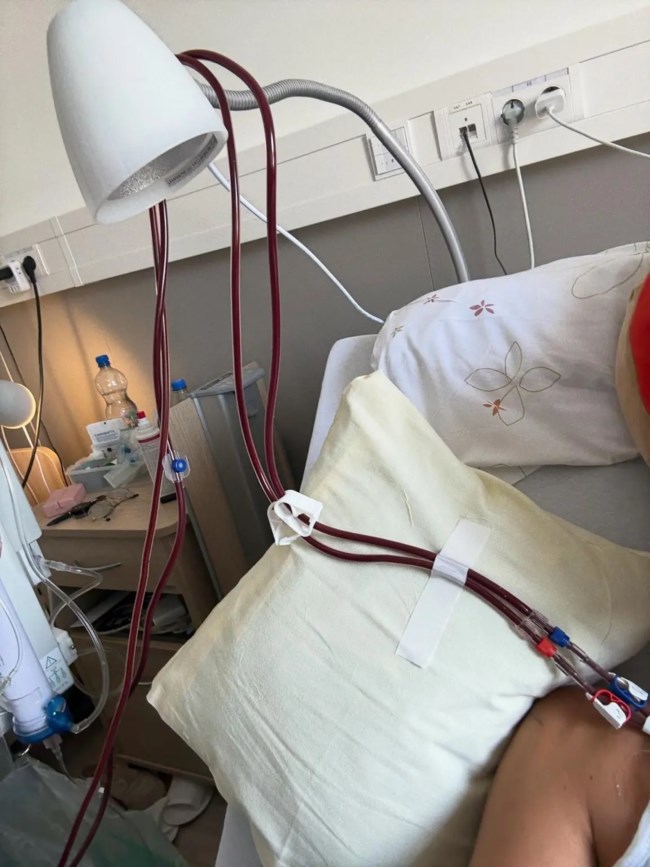 ΜΠΕΛΛΑ ΧΑΝΤΙΝΤ ΝΟΣΟΣ LYME
