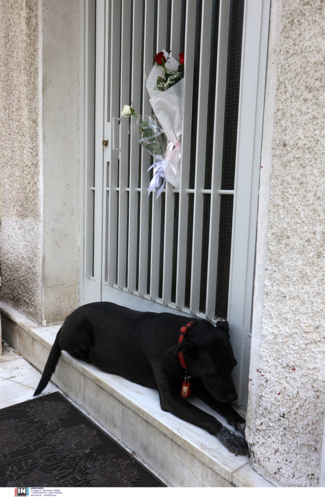 Μίκης Θεοδωράκης: Η συγκινητική εικόνα του σκύλου του - Θρηνεί στο πλατύσκαλο του σπιτιού