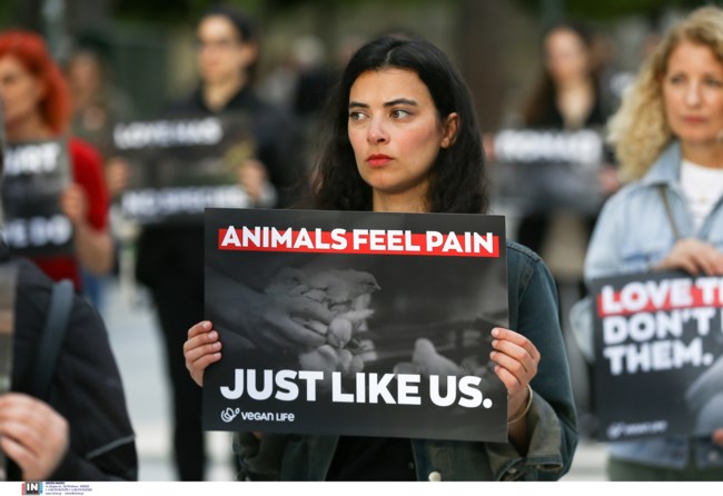 ΔΙΑΜΑΡΤΥΡΙΑ ΣΥΝΤΑΓΜΑ