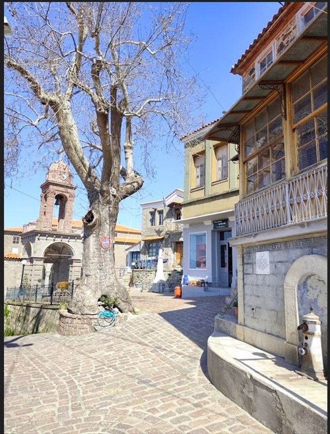 Βατούσα Λέσβου: Από τα γυρίσματα των ταινιών του Τζέιμς Πάρις, πρωτεύουσα του δημογραφικού προβλήματος