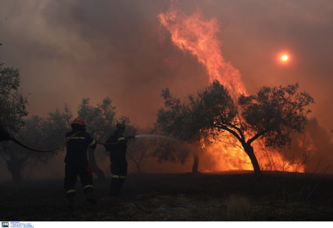 Φωτιά στις Κεχριές: Εκκενώθηκε και έκτος οικισμός - Ολονύχτια μάχη με τις φλόγες [Εικόνες]