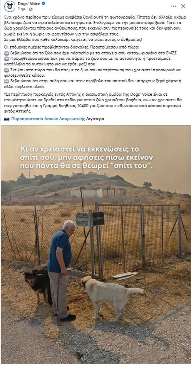 Φωτιές: Η διασωστική ομάδα της Dogs’ Voice είναι σε ετοιμότητα ώστε να βρεθεί στο πεδίο για όποιο ζώο χρειάζεται βοήθεια