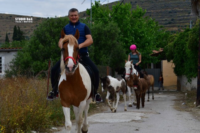 Ναύπλιο: Αγρότης πήγε σε εκλογικό τμήμα με άλογα και γαϊδούρια