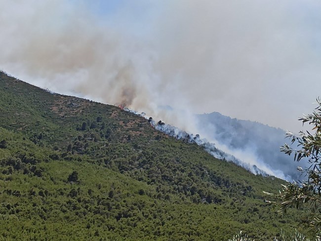 Φωτιά στο Πόρτο Γερμενό