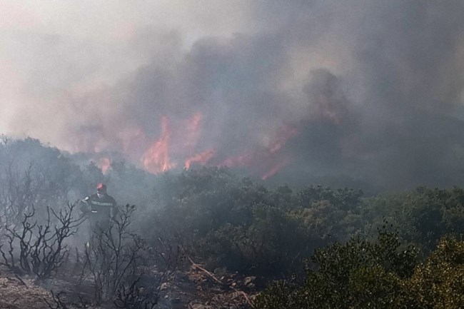 Φθιώτιδα: Ανεξέλεγκτη η πύρινη λαίλαπα στο Μαρτίνο - Πέρασαν την Εθνική οδό οι φλόγες [Εικόνες+Βίντεο]