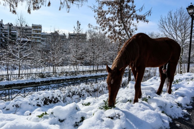 Λάρισα Χιόνια