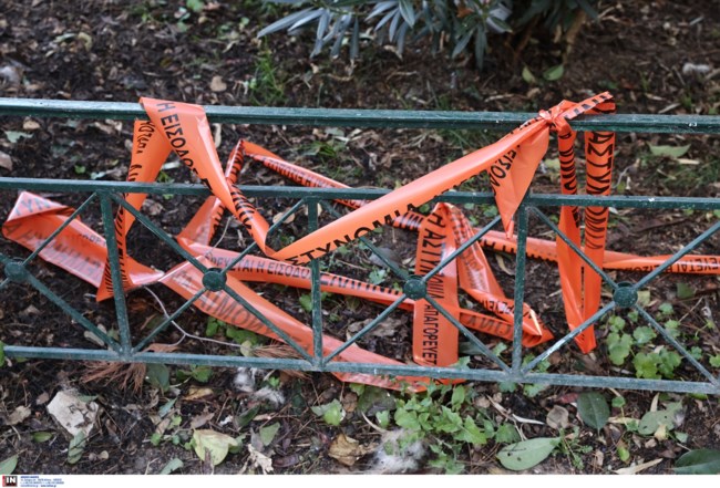 Βοτανικός: Ενοπλη επίθεση εναντίον 34χρονου – Μεταφέρθηκε στο νοσοκομείο με βαριά τραύματα