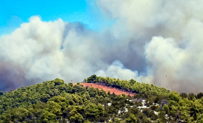 Φωτιά στην Εύβοια