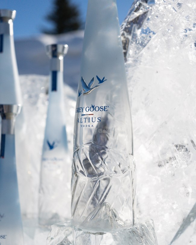Grey-Goose