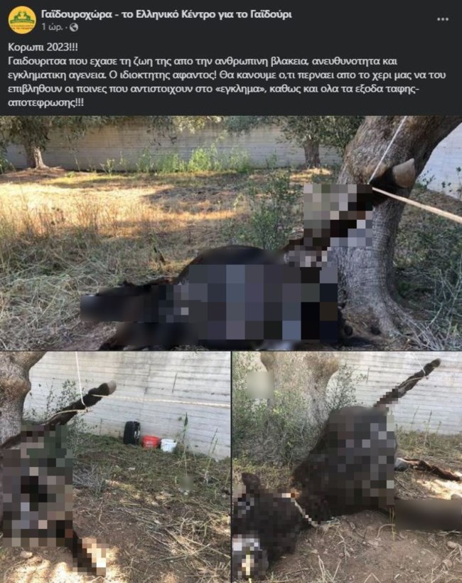 Κορωπί: Πρόστιμο 30.000 ευρώ στον 75χρονο για την κακοποίηση και τον θάνατο του γαϊδουριού του
