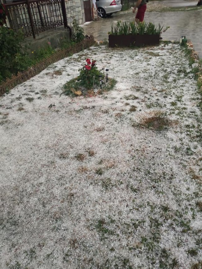 κοζανι