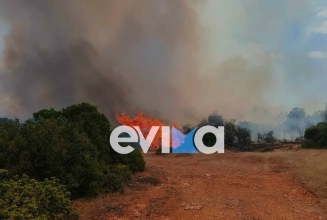 Ξέσπασε μεγάλη φωτιά στη Ριτσώνα: Στη μάχη 100 πυροσβέστες, τέσσερα αεροσκάφη και δύο ελικόπτερα