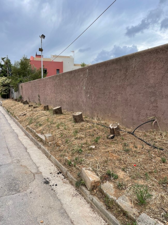 ΝΟΚ 6