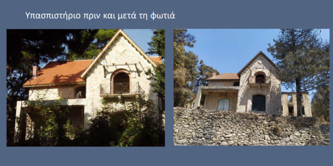 tatoi