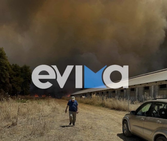 Εύβοια: Φωτιά ανάμεσα στα χωριά Τριάδα και Πισσώνα - Kινδυνεύει επιχείρηση -Πνέουν ισχυροί άνεμοι στην περιοχή