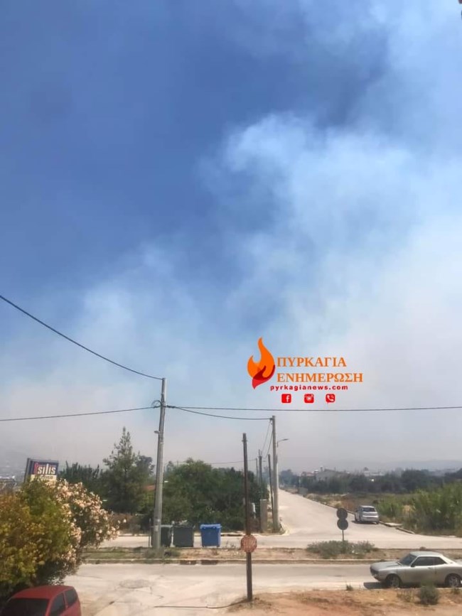 Φωτιά στη Φέριζα Αττικής: Βελτίωση στο μέτωπο - Απειλήθηκαν σπίτια, εκκενώθηκαν δύο οικισμοί [εικόνες]