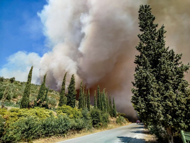 Μεγάλη φωτιά στην Εύβοια, κοντά σε σπίτια: Οι φλόγες πέρασαν την Εθνική Οδό - Νέο μήνυμα 112 για εκκένωση [εικόνες-βίντεο]