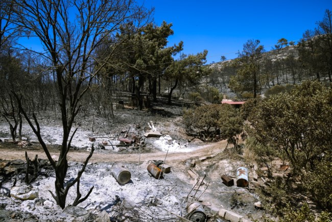 Χίος: Μεγάλη αναζωπύρωση στο βουνό Προβατά - Κάηκαν 47.765 στρέμματα γης