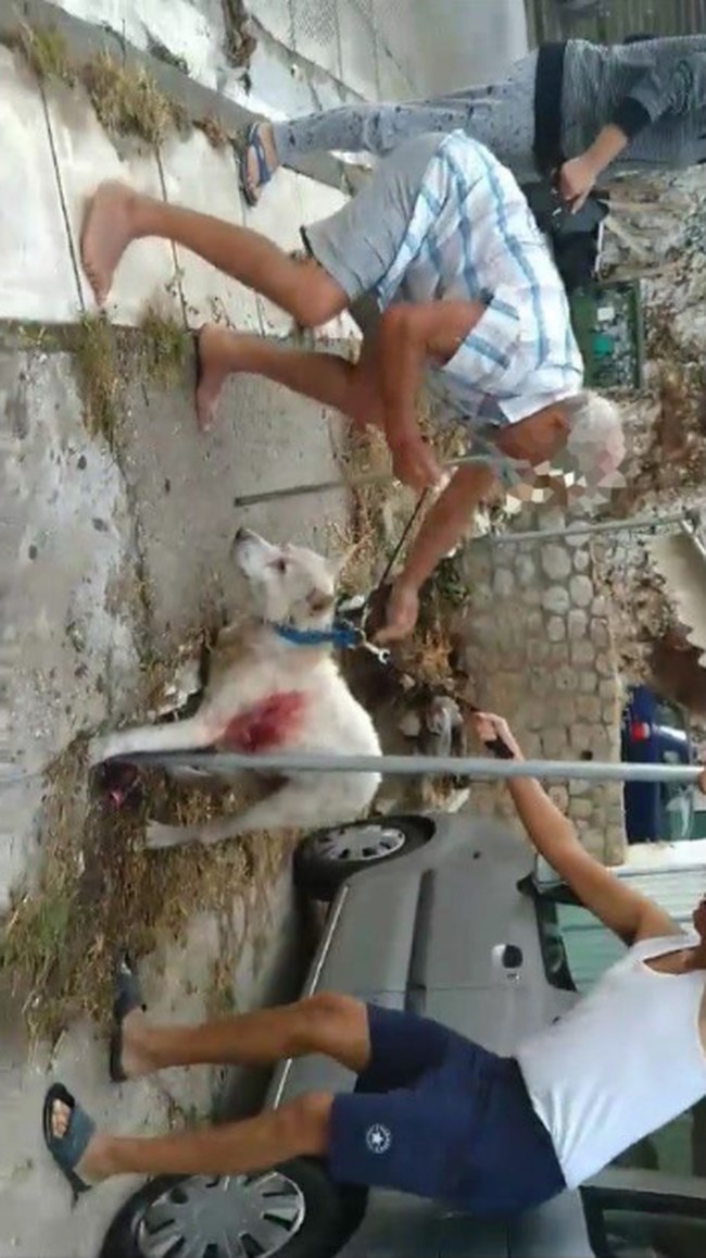 σκιλοσ