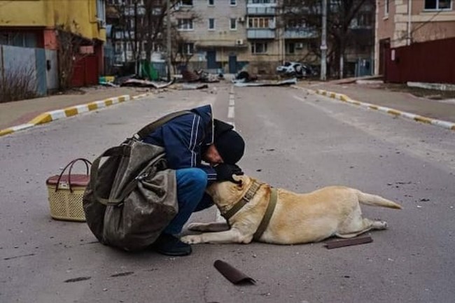 ουκρανια ζωα