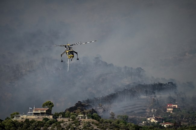 Φωτιά Δυτική Αττική: Νέο 112 για Λούμπα, Ανω Αλεποχώρι και Μορφέικα - Εκκενώθηκε η Ψάθα, κάηκαν σπίτια