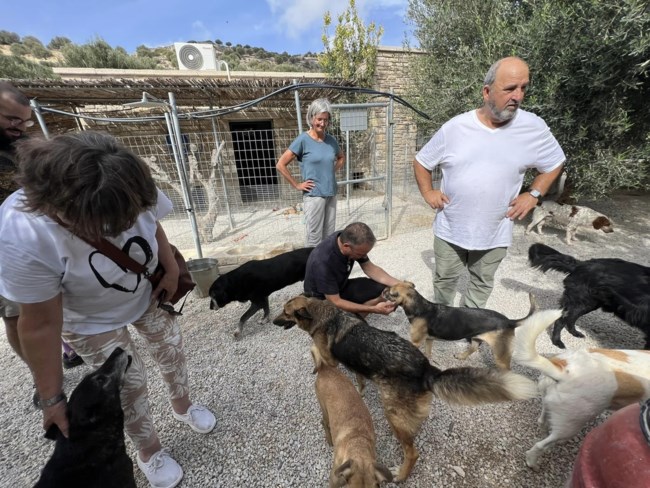 προεστακης