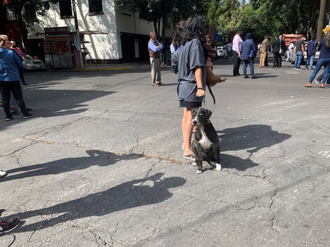 μεχικο