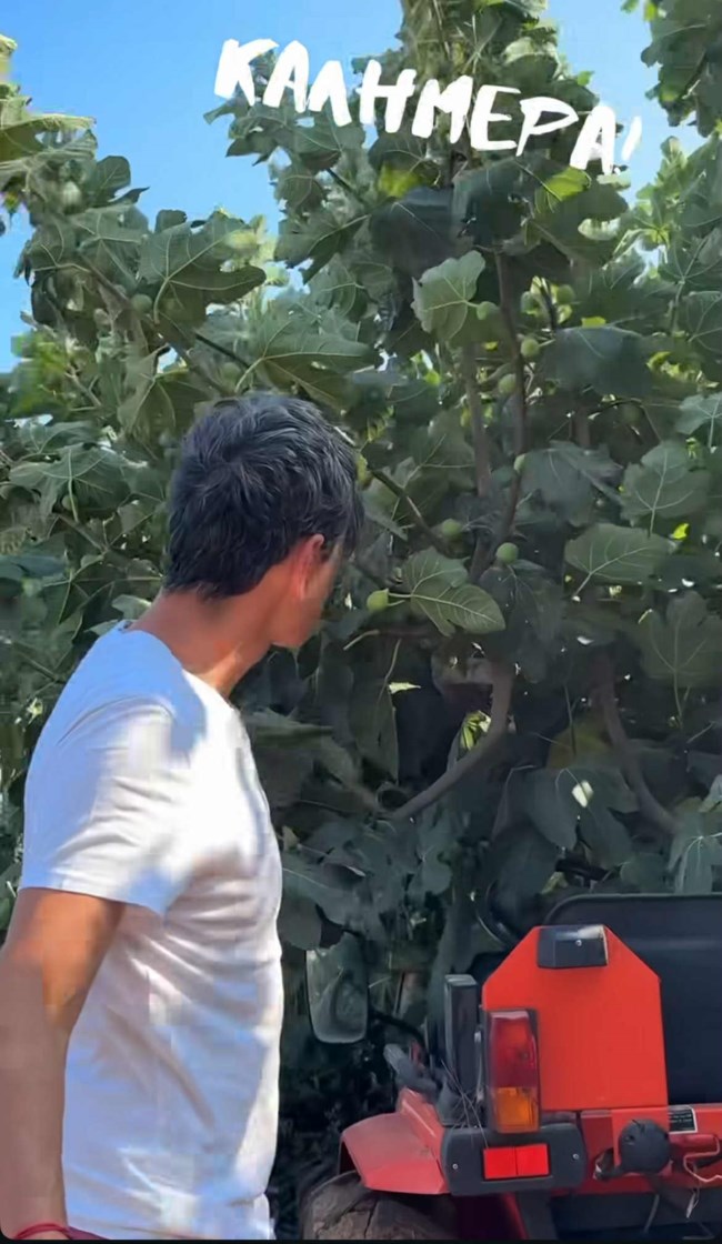 ΡΟΥΒΑΣ
