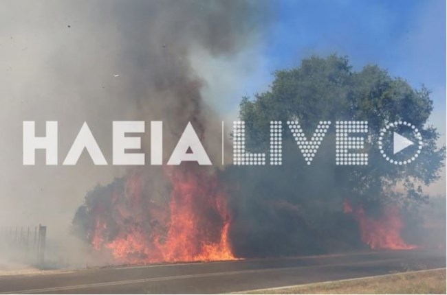 HLEIA