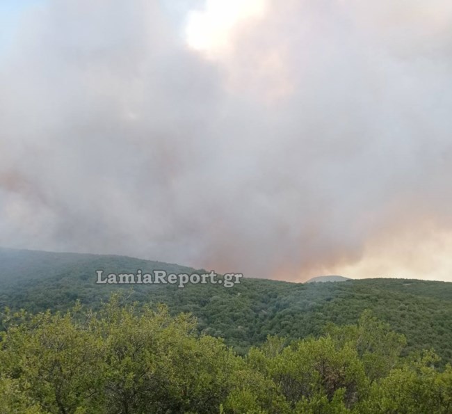Φωτιά στην Ανατολική Φθιώτιδα