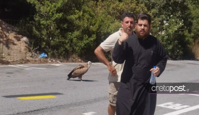 ΟΡΝΙΟ ΚΡΗΤΗ