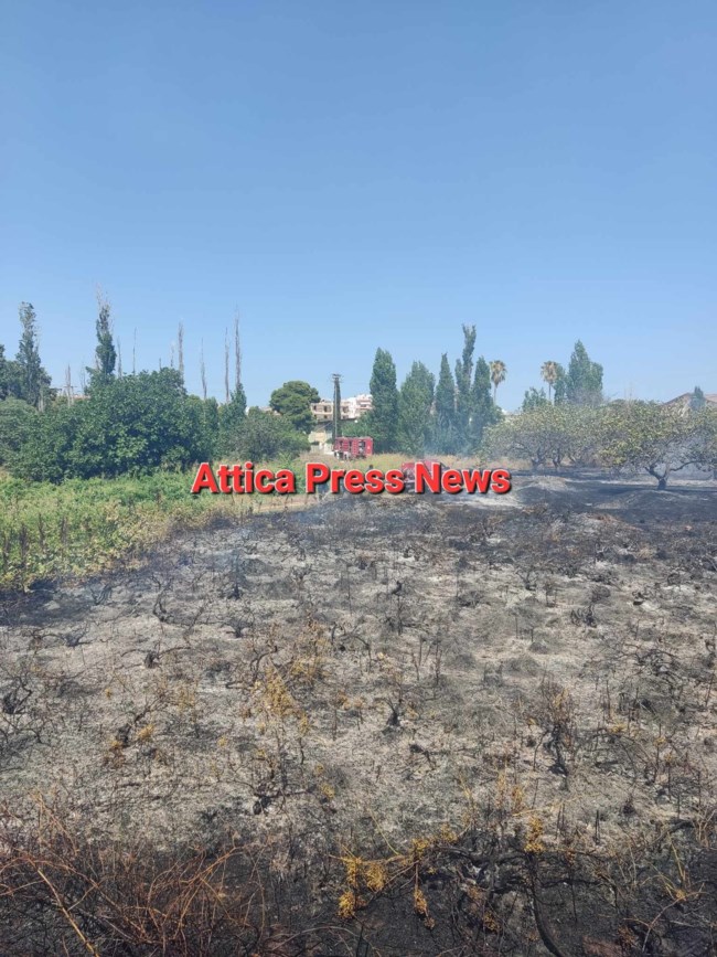 Φωτιά σε χαμηλή βλάστηση στο Μαρκόπουλο: Μεγάλη επιχείρηση της Πυροσβεστικής