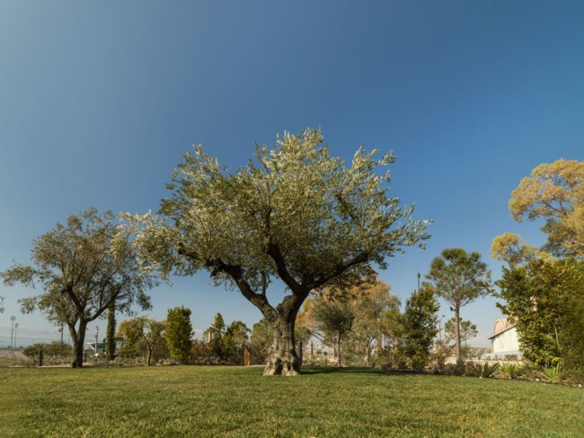 To The Ellinikon Experience Park ανοίγει πλέον καθημερινά τις πόρτες του από το πρωί στις 10:00 έως τις 23:00 το βράδυ