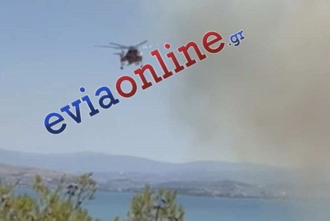 Μεγάλη φωτιά στη Νέα Αρτάκη Εύβοιας: Εκκενώνεται οικισμός - Ηχησε το 112