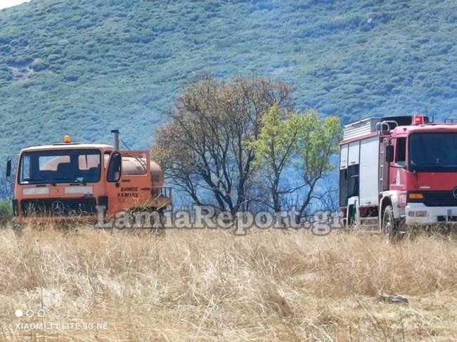 Φωτιά Φθιώτιδα