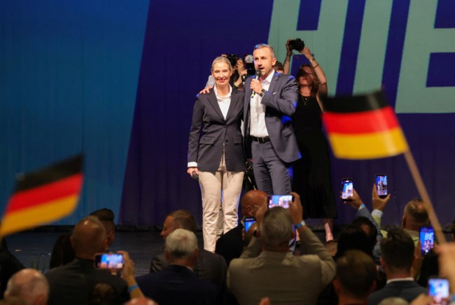 γερμανια afd ουλριχ ζιγκμουντ