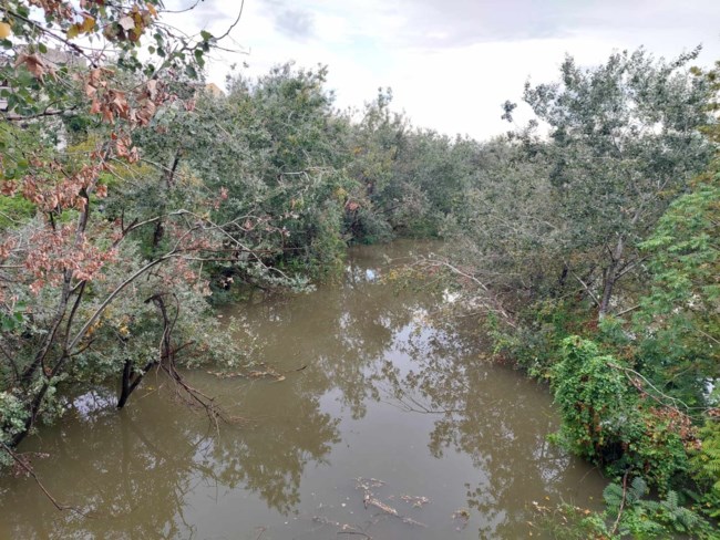 λλλλλλλλλλλλλλλ