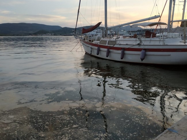 Βόλος: Αφόρητη δυσοσμία και λύματα στο λιμάνι - Πήραν δείγματα για αναλύσεις [εικόνες]