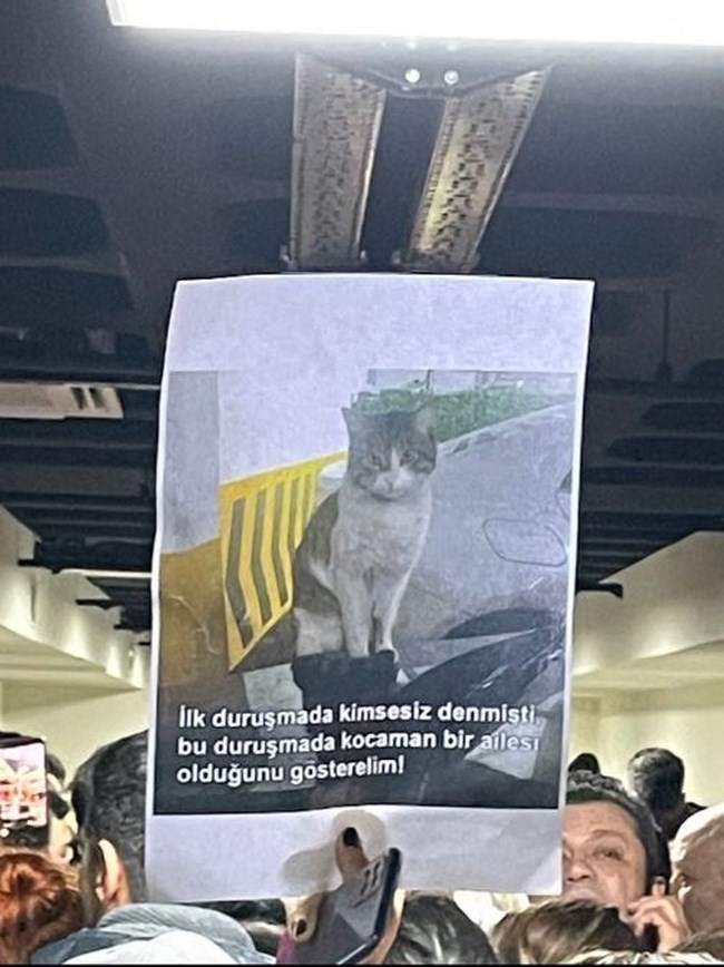 gata