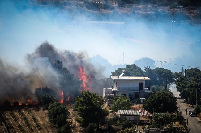 ΦΩΤΙΑ ΡΑΦΗΝΑ