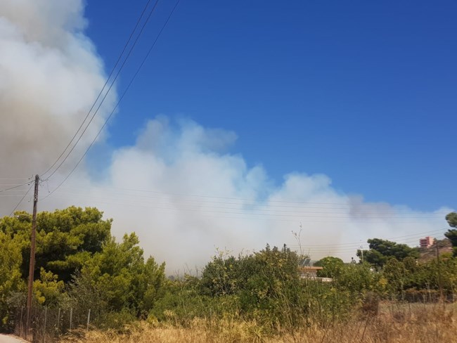 Φωτιά Κορωπί